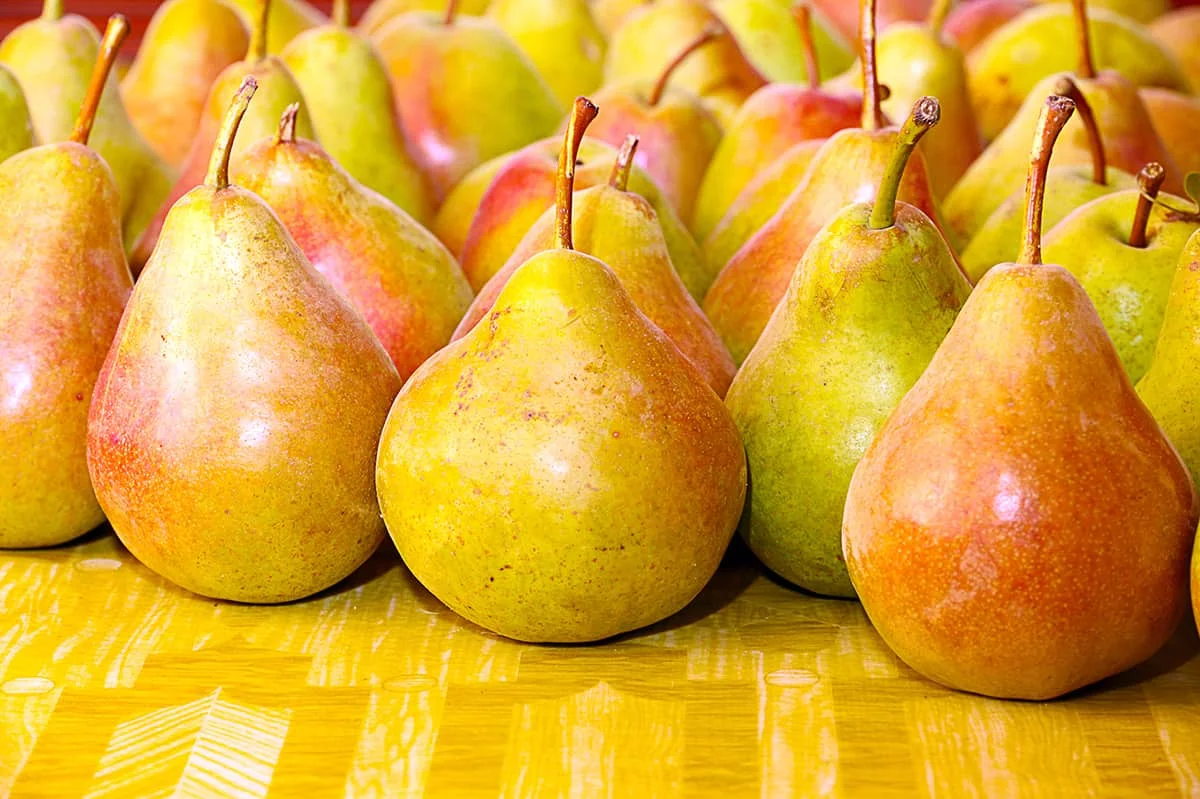 GOOD High Quality Healthy Fresh Pears
