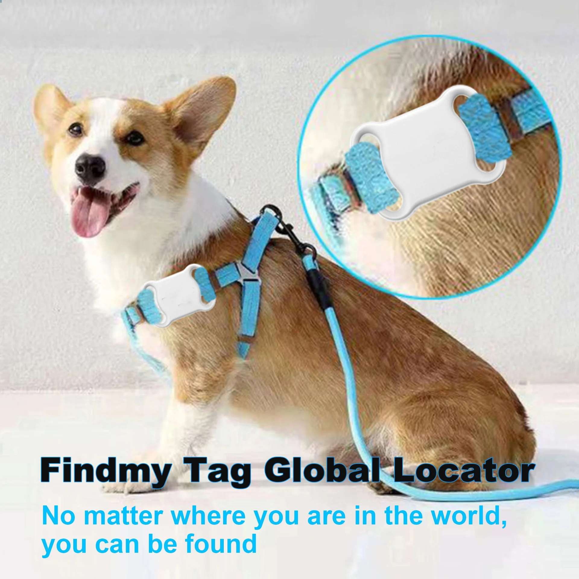2022 NEW Smart Waterproof Pet Dog cat Tracker Low Power Dog Collar GPS Locator