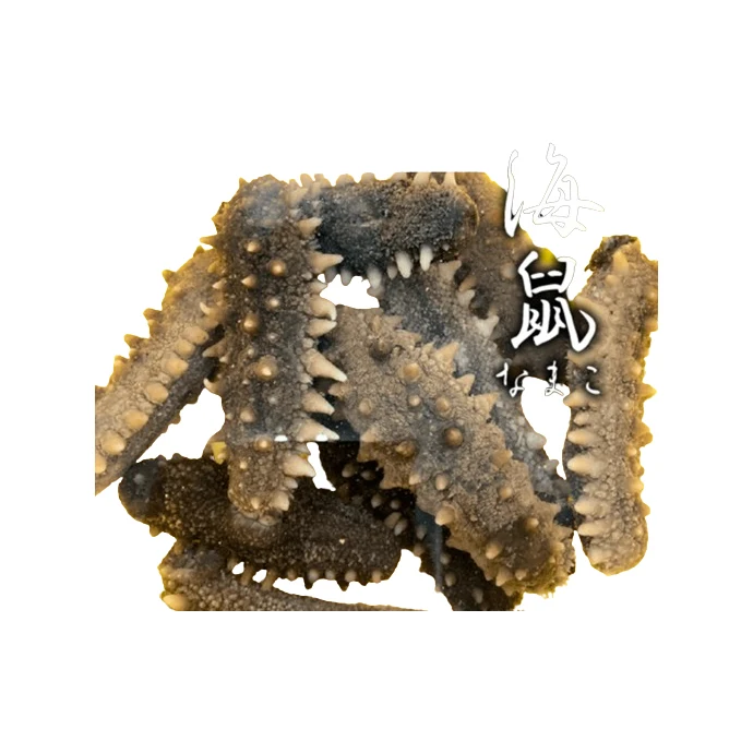 High Quality Japanese Nutritious Sanriku Sea Cucumber Buy Sell