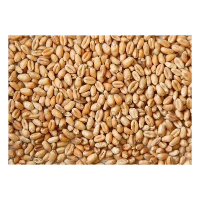 Органический корм для животных первого сорта пшеница натуральные овсяные хлопья быстрого приготовления упаковка 50 кг оптовая продажа семена зерновых