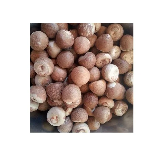 Good Quality Wholesale Betel Nuts 80/85 from Indonesia with Export Standard
