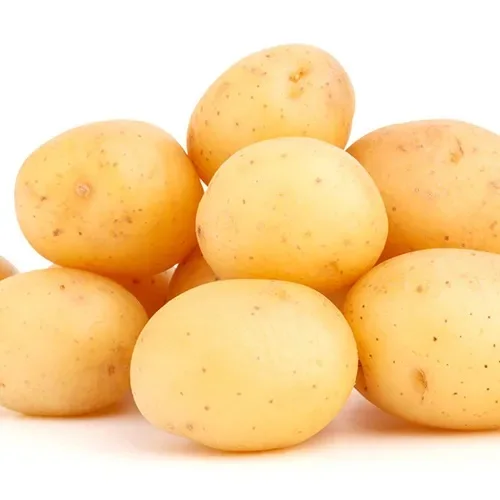 Wholesale Flaky Round Shape Potato with Shallow Eyes for Chips and Fries Exporter from India