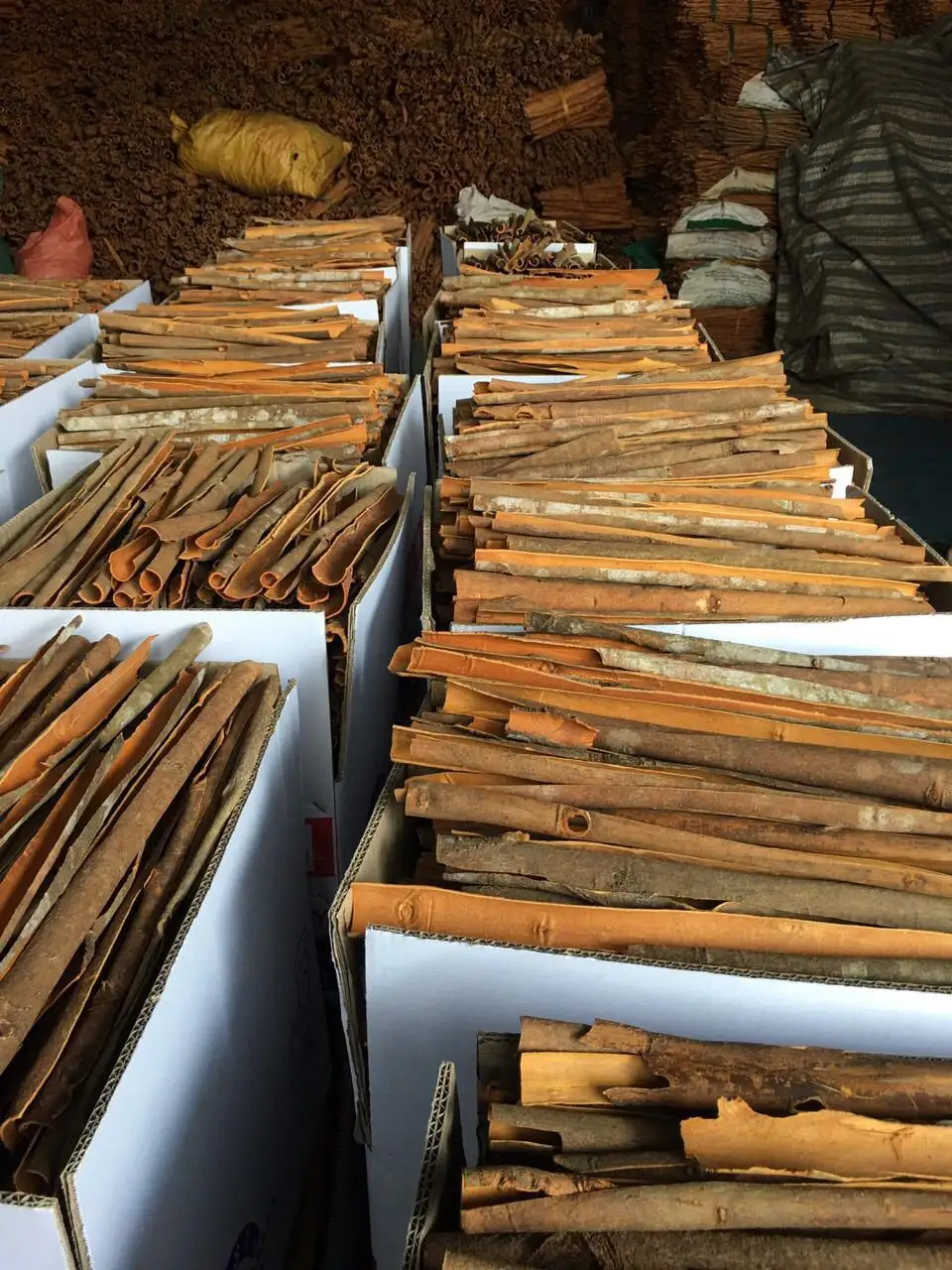 Лучшая цена, сплит корица, сделанная во Вьетнаме, высокое качество // Ms.Emily (WhatsApp + 84-353-650-238)