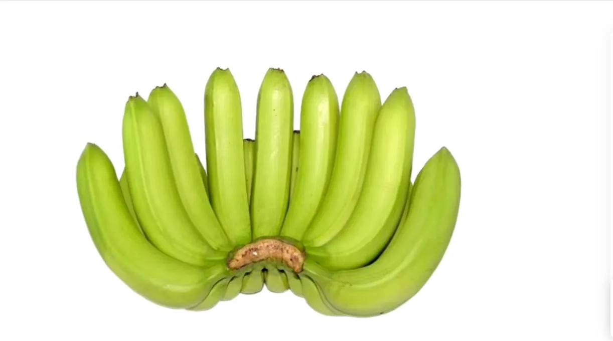 CHEAPEST BANANA GUARANTEED - Fresh Long Green Cavendish Banana Export 100% Free tax worldwide - No.1 Quality