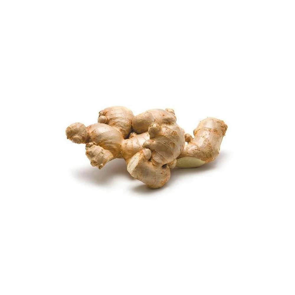 Good Quality Ginger Available At Indian Manufacturer