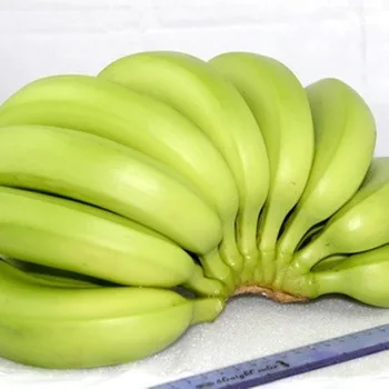 Crop Green Tropical Banana OEM Style Organic Cavendish Color Weight Origin Type Variety Grade Product ISO Fresh Fruit Place