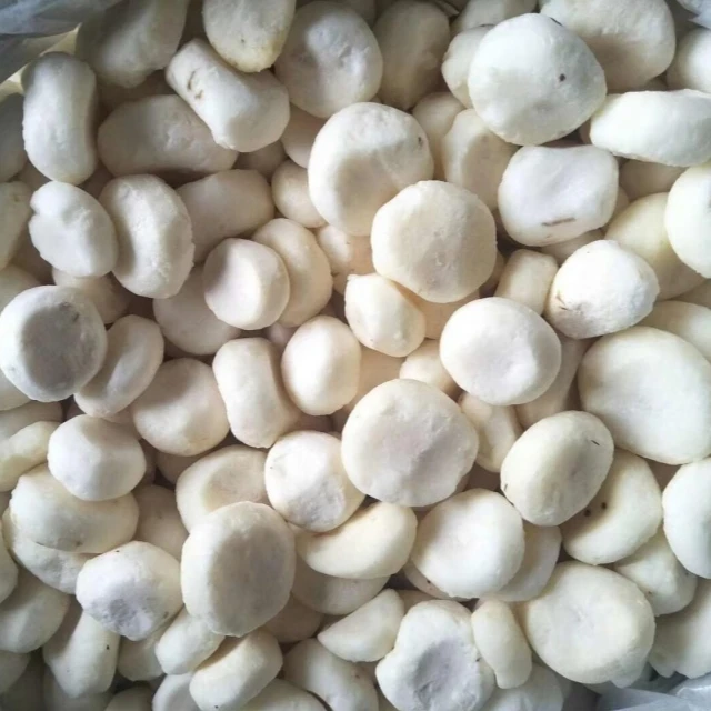 High Quality IQF Frozen Water Chestnut Whole Wholesale Export Frozen Vegetable