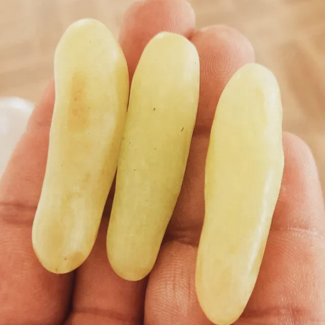 Best Quality Sweet Fresh Grapes Available at Wholesale Price from India