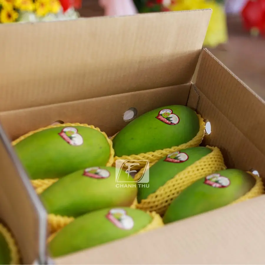 Mango Green Color Mango Common Cultivation Type Sweet Taste Mango Export From Vietnam
