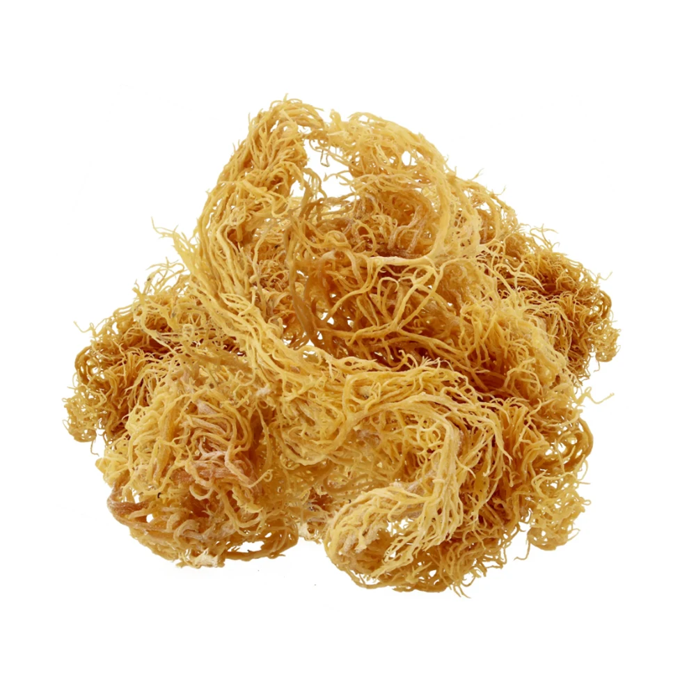 Seamoss raw organic - dried sea moss - Natural Wildcrafted, Pure, Non-GMO & Gluten-Free Sea Moss