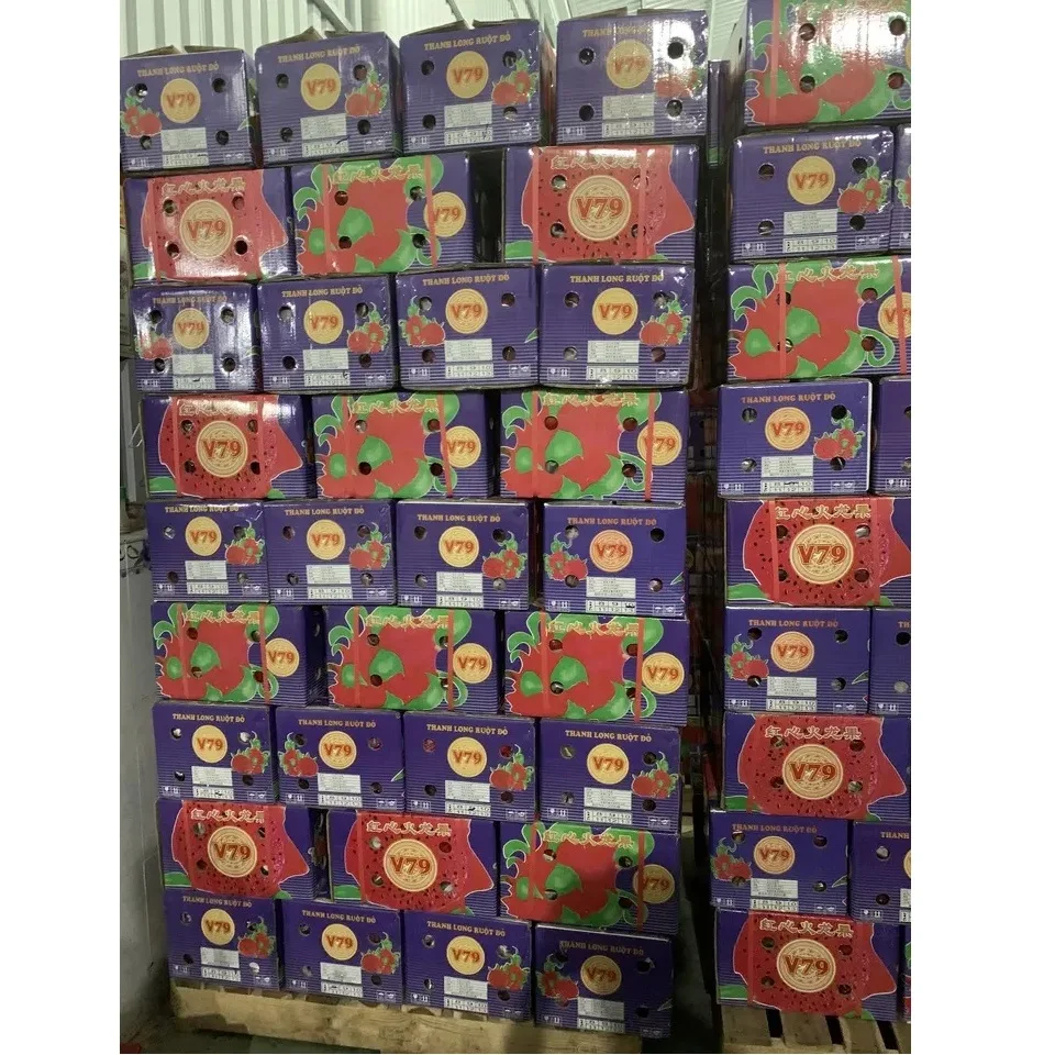 6 months Shelf Life Agriculture 450gr Wholesale Fresh Fruit Delicious Taste Natural Sweet 100% Fresh Dragon Fruit From Vietnam