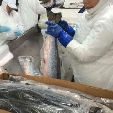 Свежая рыба, замороженный желтый плавник тунца (4 кг/10 кг 10 кг/20 кг, 20 кг/30 кг,