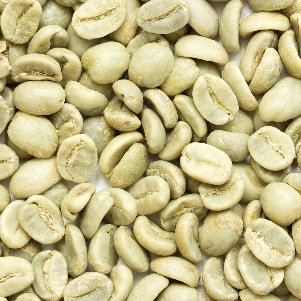 Wholesale Green Bean Coffee High Grade Robusta S18 Green Bean Coffee From Vietnam For Export Ready To Ship