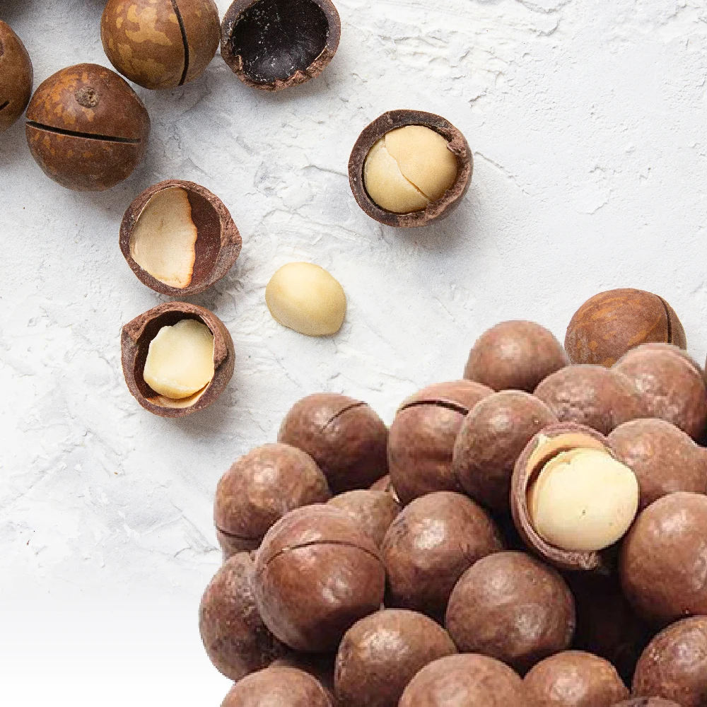 100% Natural Premium Quality Dried ROASTED MACADAMIA NUTS With ISO HACCP Certifications From Vietnam
