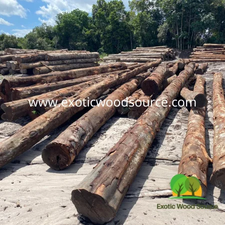 Wacapou Partidgewood Vouacapoua Americana Aubl экологически чистые деревянные бревна для настила мебели Строительная Древесина Суринама лиственных пород