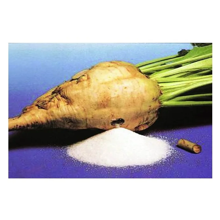 High Quality White Beet Sugar Sugar Cane Molasses Ready for Supply