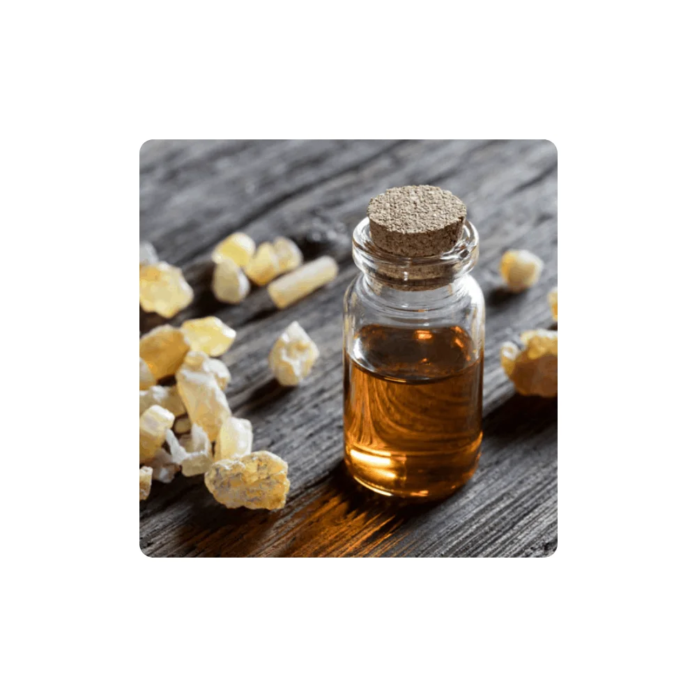Buy Frankincense Essential Oil Wholesale Price Frankincense Oil Reliable Manufacturer  From India