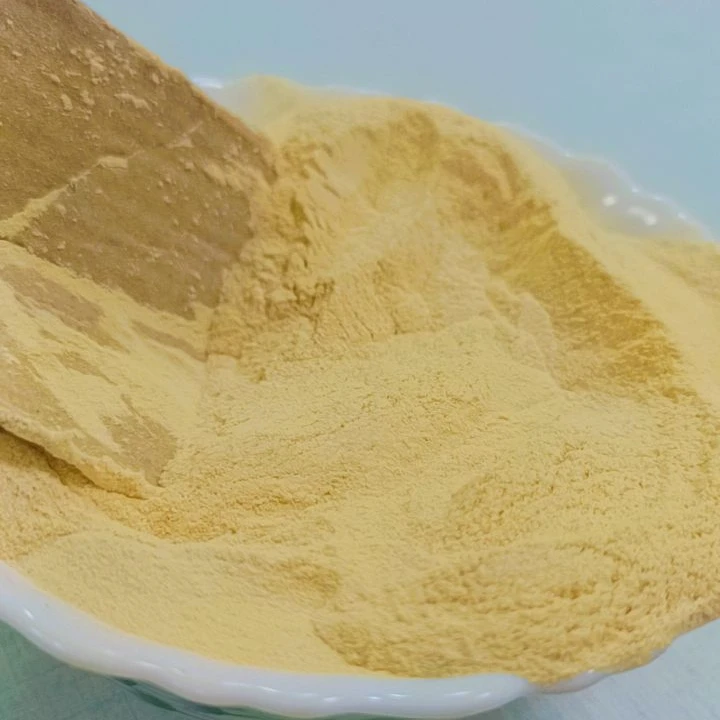 Rice Protein Meal 50% Pure exporter in  India best quality manufacture additives 25 kg & 50 kg packing