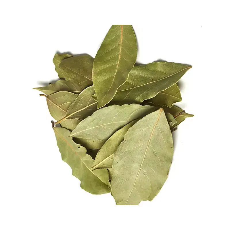 High Grade Bay Leaf Spices and Herbs Products From India