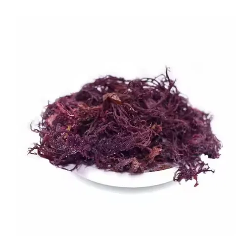 Ocean Nutrition in Every Spoon: Sea Moss Revitalizes