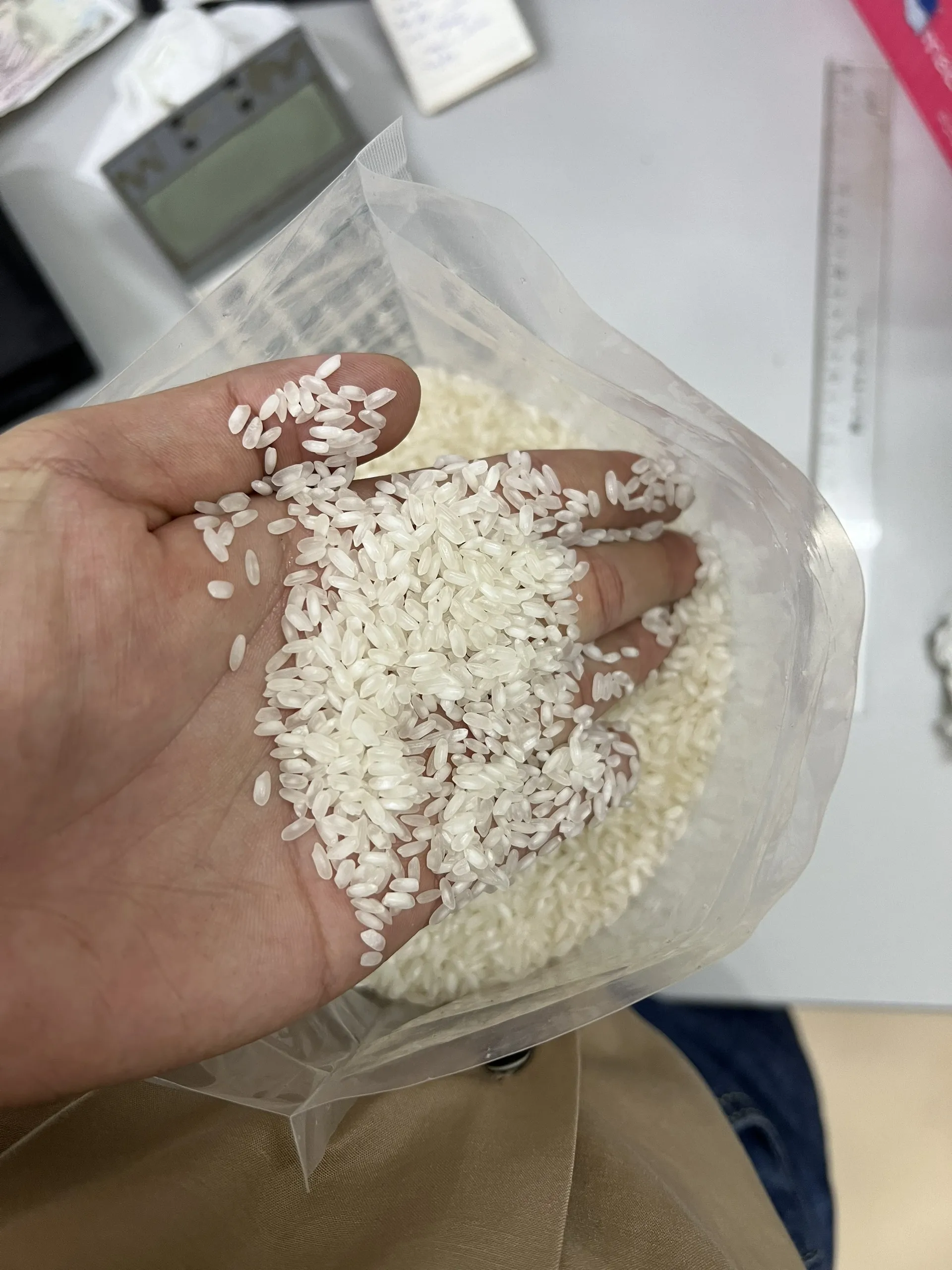 Ham Chau Medium Rice - High Quality Product  from Vietnam. Best rice in the world