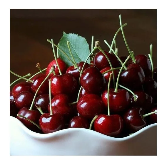 Hot Selling Price Of Organic Fresh cherries For Delivery