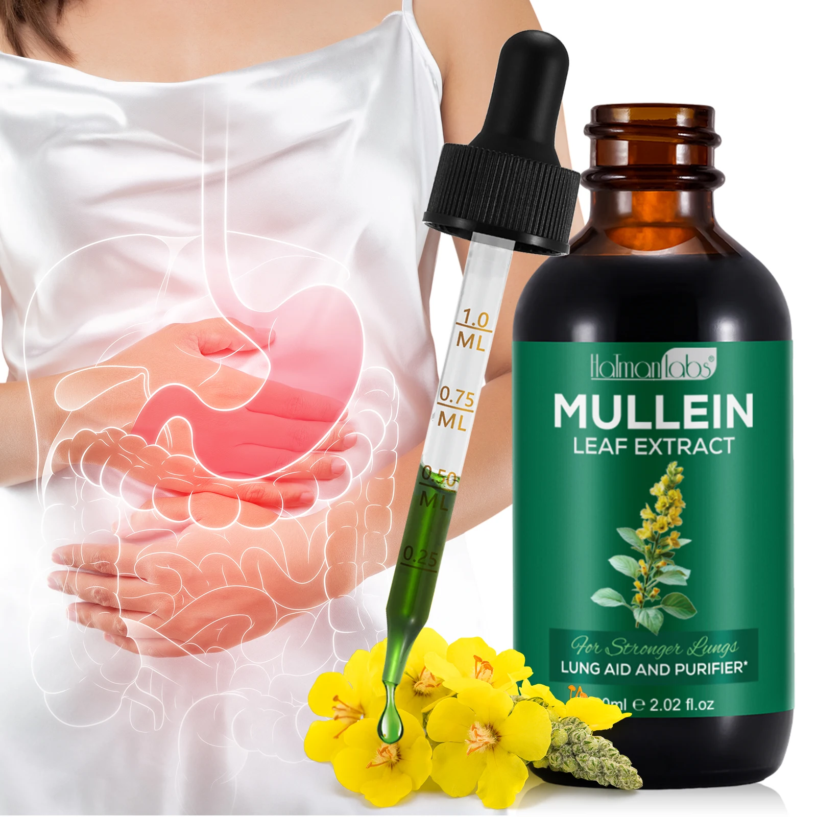 Beauty Products OEM Private Label Mullein Liquid Lung Cleanse Respiratory Health Mullein Leaf Extract Chlorophyll Liquid Drops