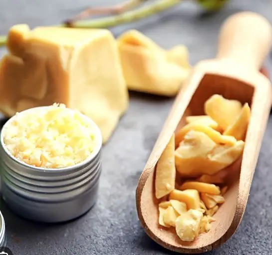 Wholesale Manufacturers and Exporters for Cocoa Butter Used for Cosmetics Available with Customized Packing and Affordable Price