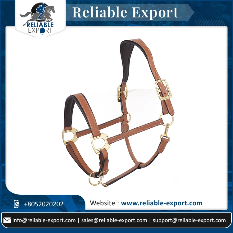 Horse Padded Halter Genuine Leather Fancy Stitched Leather Horse Halter Buy At Lowest Price On Bulk Order