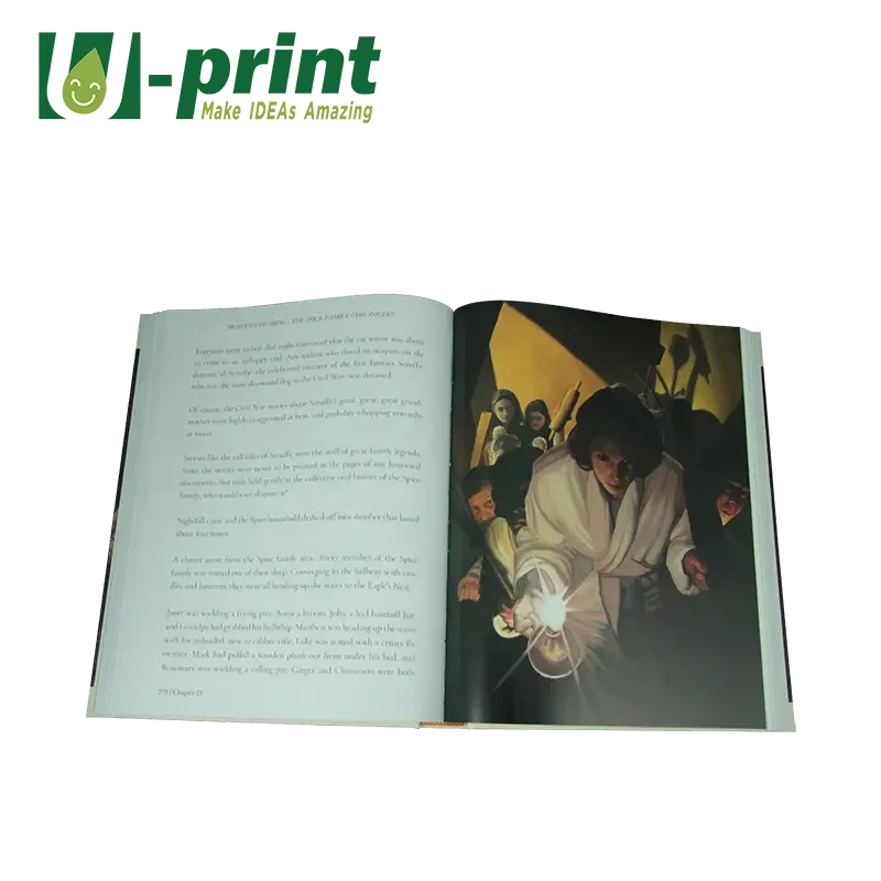 Personalized Hardback Religious Books Custom Printing King James Bible with Casebound Finish