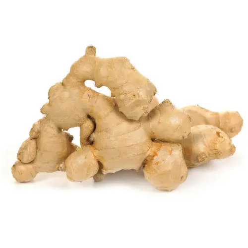 Good Quality Fresh Ginger Ginger fresh  Fresh Ginger For Sale.