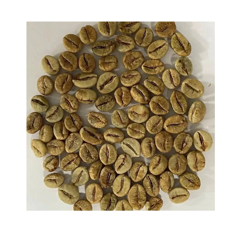 High quality arabica robusta green coffee beans from Daklak, VietNam International Standards Manufacture