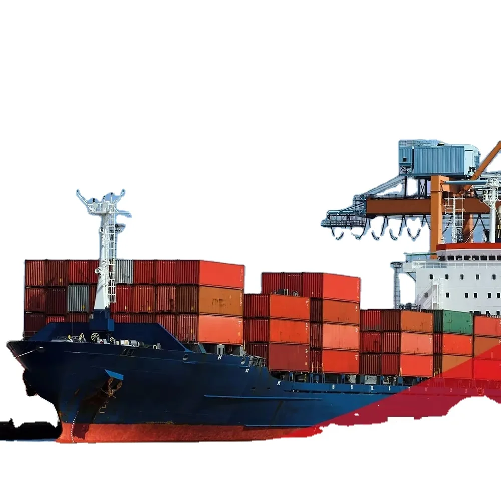 Top 10 China freight forwarder to India/USA FBA Amazon by FCL sea freight by FOB/DDU/DDP