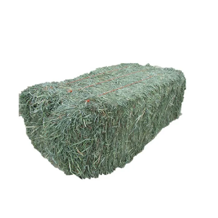 Top Quality Alfafa Hay for Animal Feeding Stuff Alfalfa / Alfalfa Hay