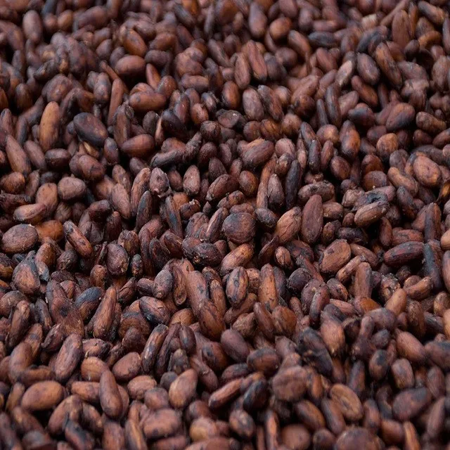 We are Suppliers of Natural Raw Cocoa Beans, High Quality Available