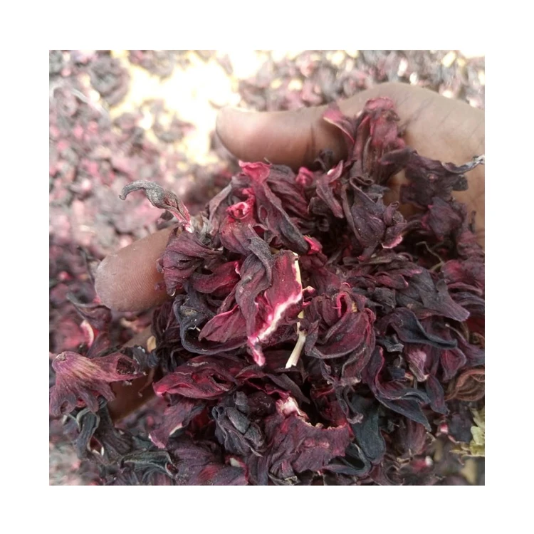 Real Natural Pleasant Taste Calcium Content 100% Clean & Dried Hibiscus Cut Fresh Flower at Wholesale Supply by Supplier
