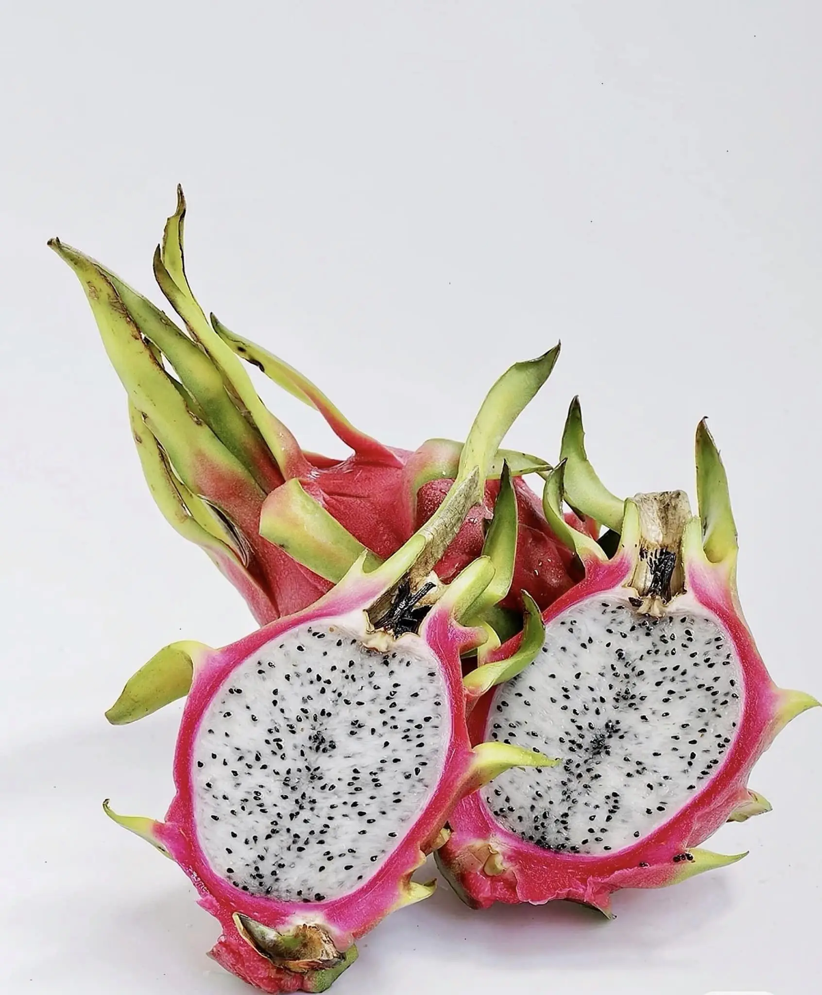 Import with Confidence and Retailers Rejoice Fresh Dragon Fruit from Viet Nam for wholesaler (+84983028718)