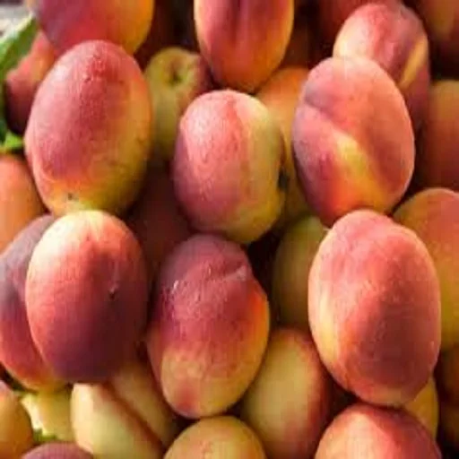 Fresh Peaches