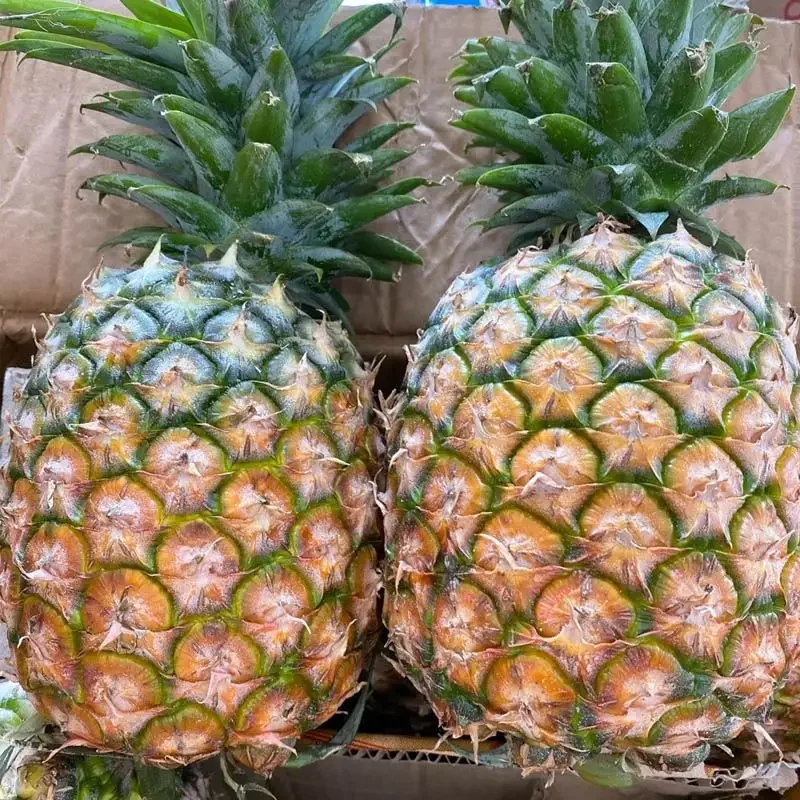 Export Quality Natural Fresh Sourness Beautiful Golden Color Super Sweet Fresh Pineapple