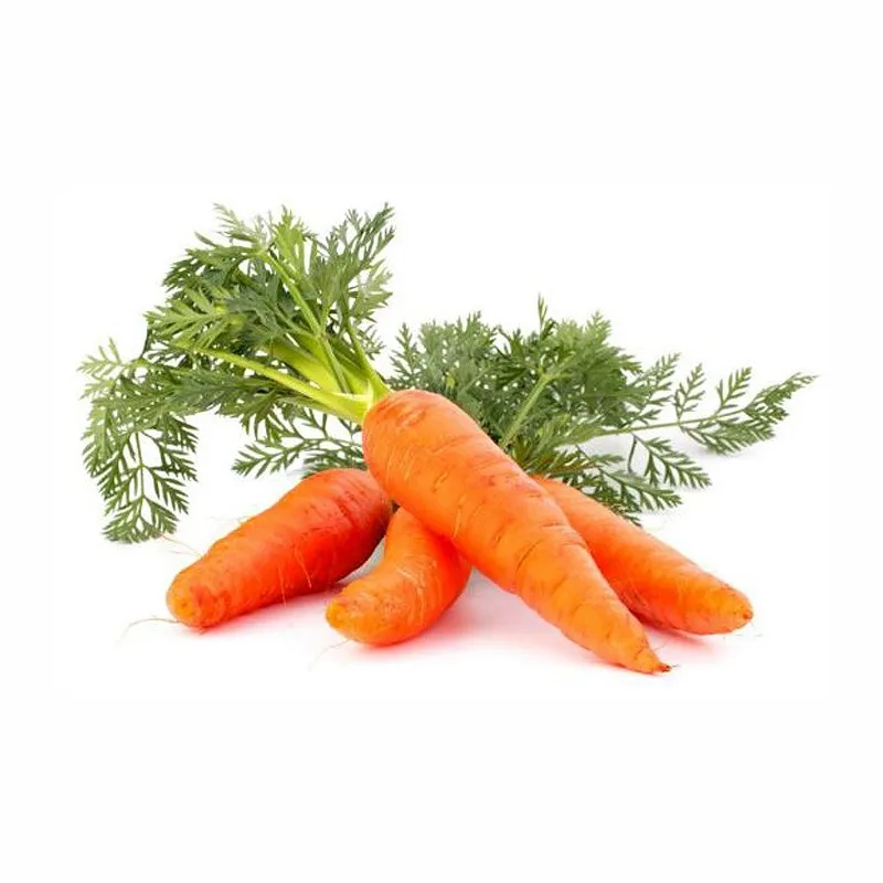 Factory supply carrot extract Beta Carotene 1%