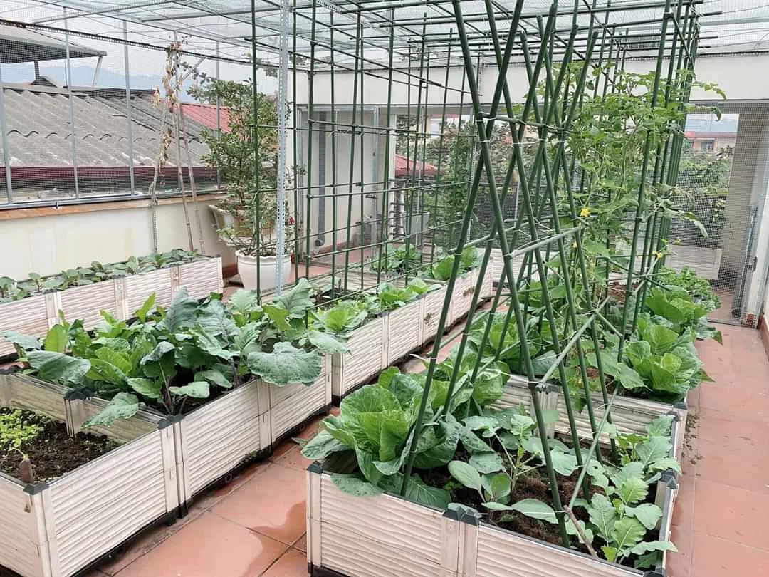 Smart Designed Plastic Raising Garden Bed For Planting