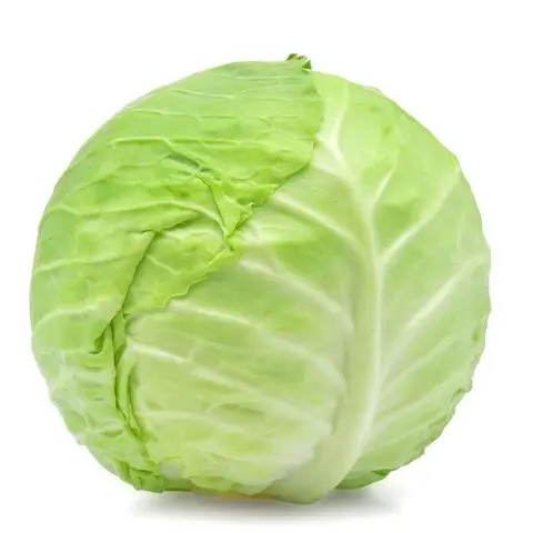 High Quality Fresh Cabbage And Wholesale New Crop Round Shape Origin Egypt Variety Products Fresh
