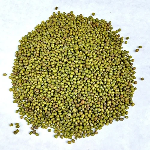 Premium Quality Green Mung Beans/ vigna beans