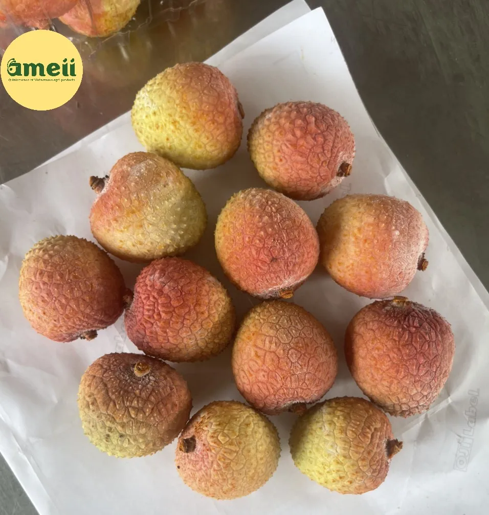 Frozen Whole Lychee Season 2022