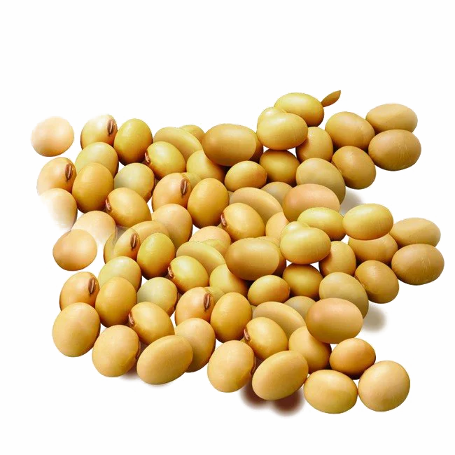 High Quality Non GMO Soybean Largest Stock And Supply Worldwide For The Best Market Rates From Bangladesh