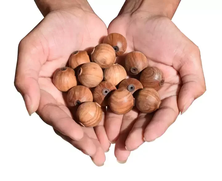 Natural Mysore Sandalwood Unpolished Beads  Big Size Wooden Ball for Meditation Chanting Jaap Mala Rosary  16/18/20/22/24 mm