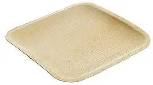 Areca Palm Leaf Disposable Square Plates/Tray/Dishes | 9 Inch ( 23 Cm) | 100% Biodegradable | Natural & Eco-friendly