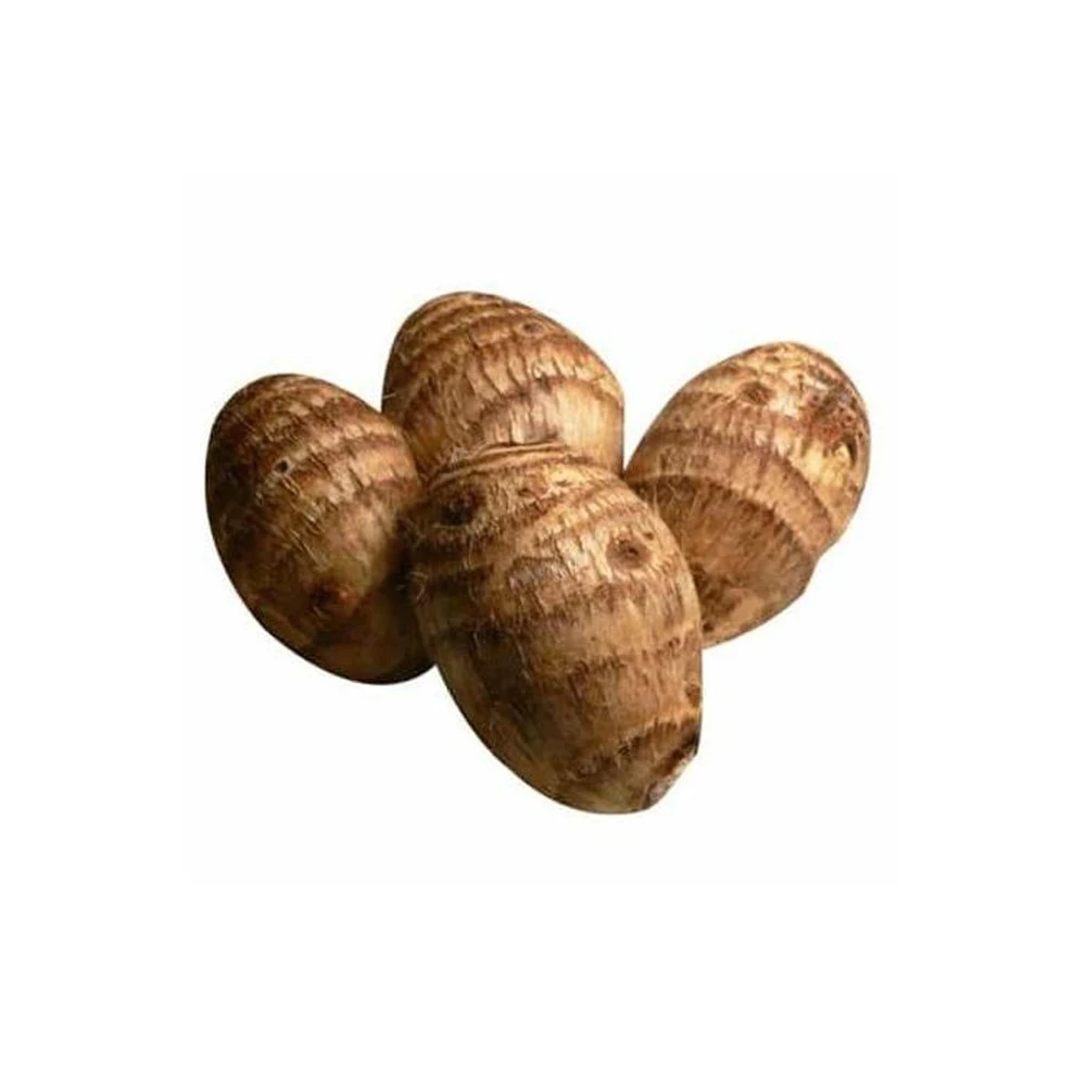 HOT SALE PRODUCT!!! FRESH TARO FROM VIETNAM WITH COMPETITIVE PRICE AND HIGH QUALITY EXPORT