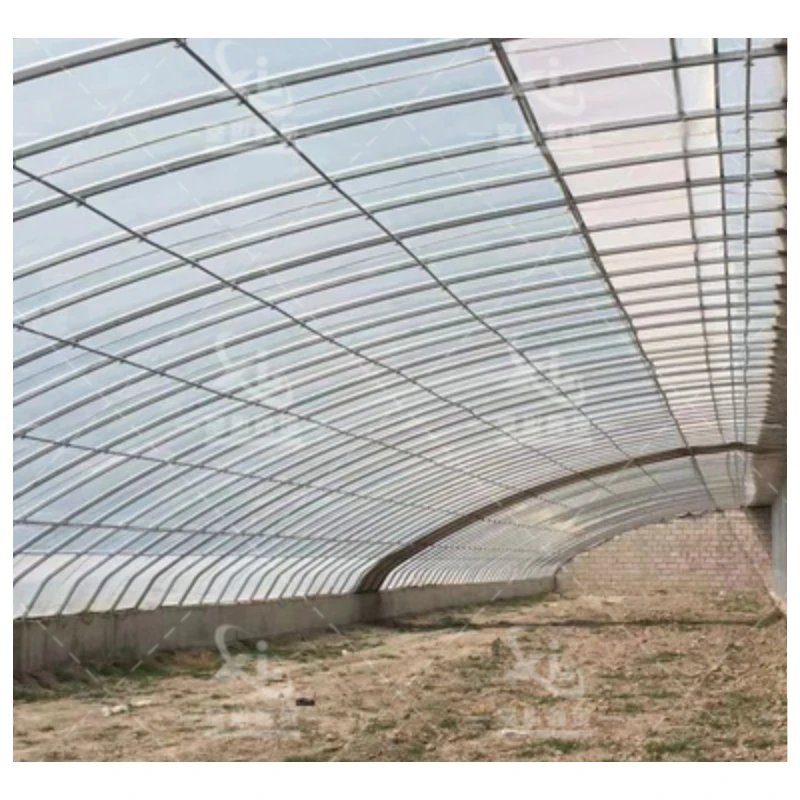 Agricultural greenhouse pillar multi-span cabbages growing vigorously tunnel multi-span film greenhouse