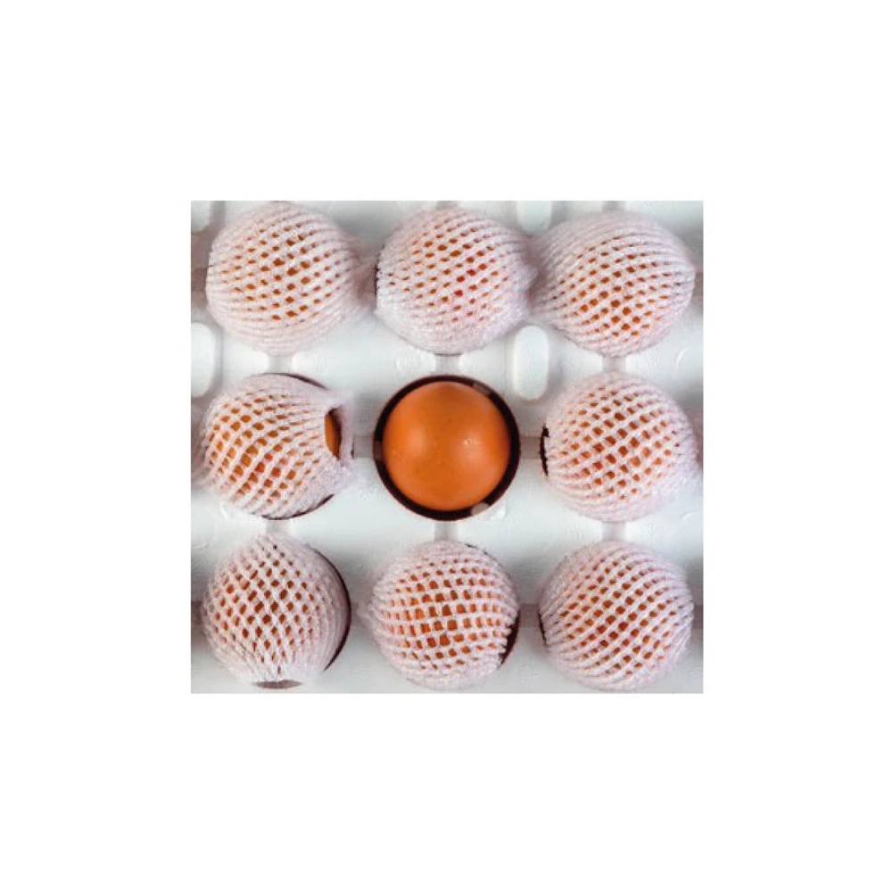 Natural Products Best Quality ISO Certification Organic Fresh Chicken Table Eggs